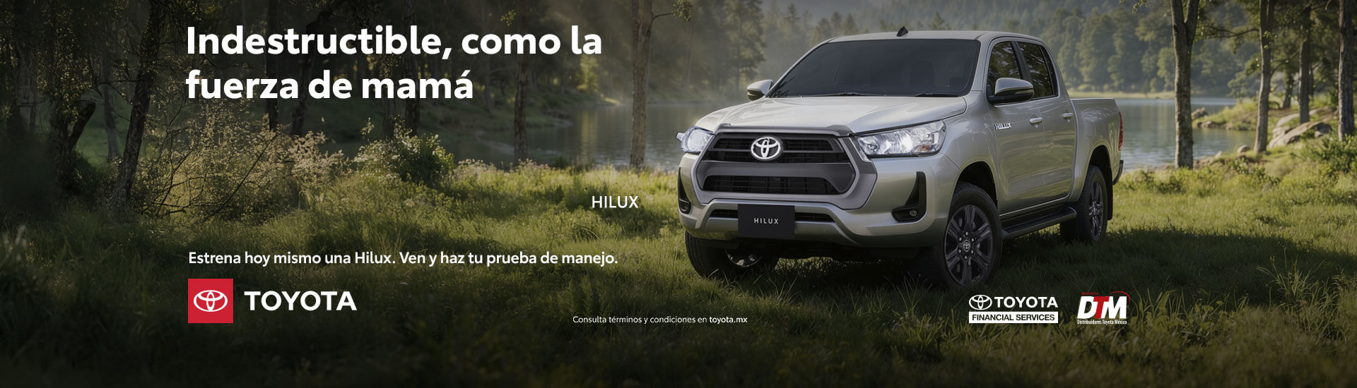 promocion